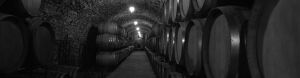 Winery ADA Compliance